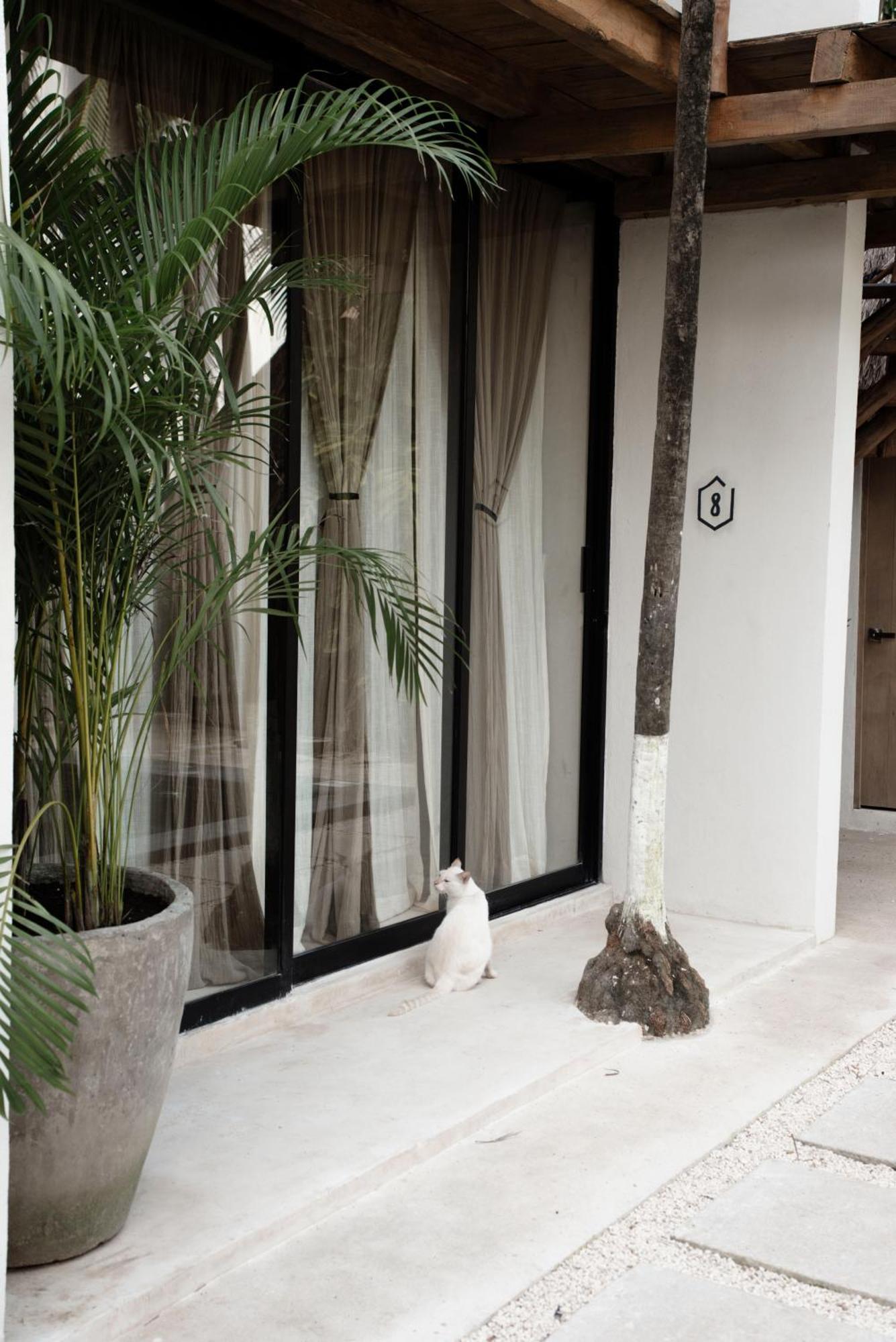 Hotel Tuup Tulum Zewnętrze zdjęcie